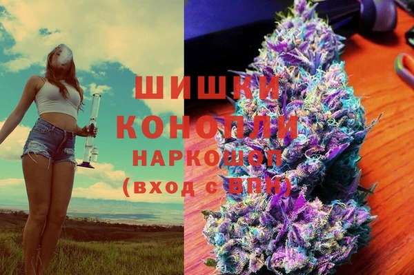 трава Верея